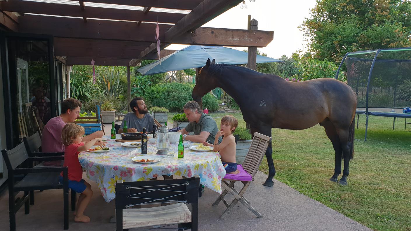 Il cavallo in terrazza