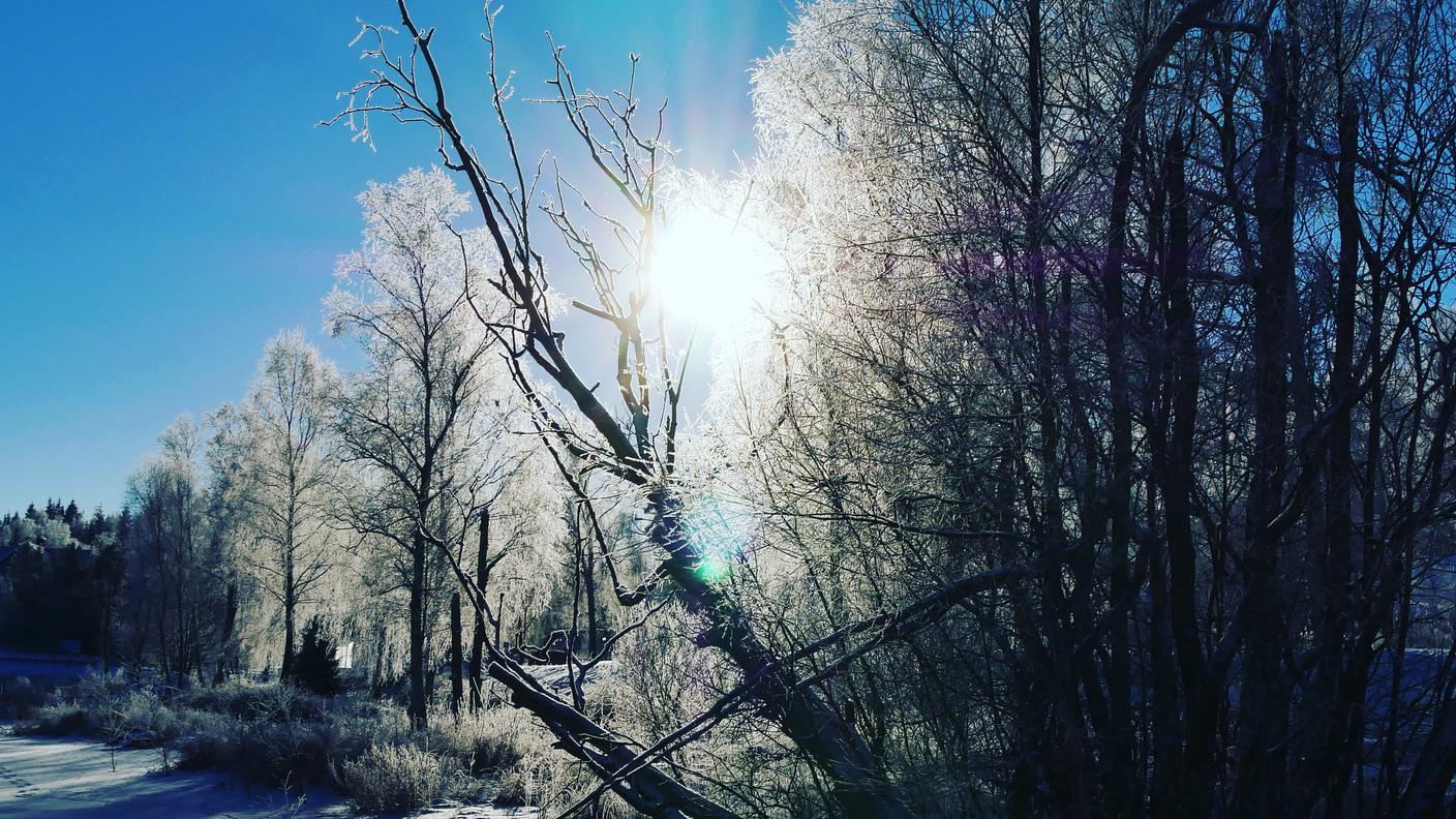 Paesaggio invernale svedese