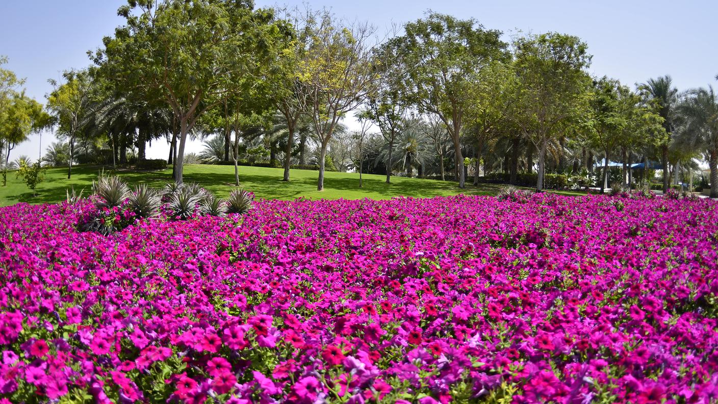 Zabeel Park 