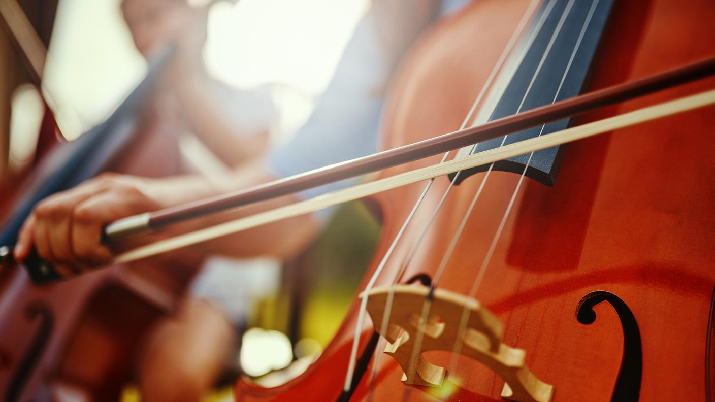 violoncello