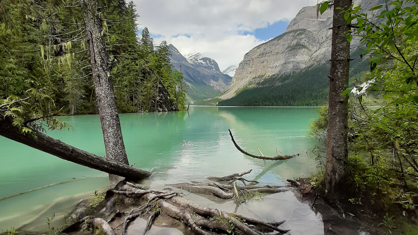 Lago Kinney in direzione del Mount Robson (British Columbia)