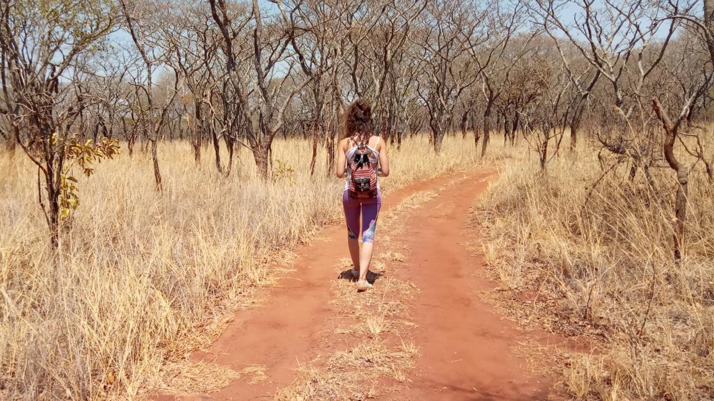 Passeggiando nel bush a Lusaka