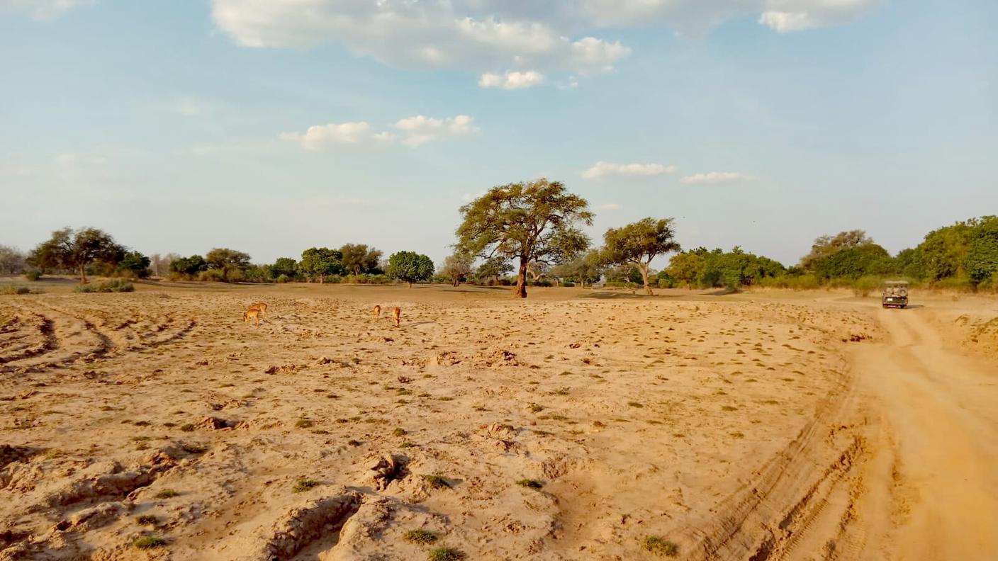 Sounth Luangwa National Park in Zambia