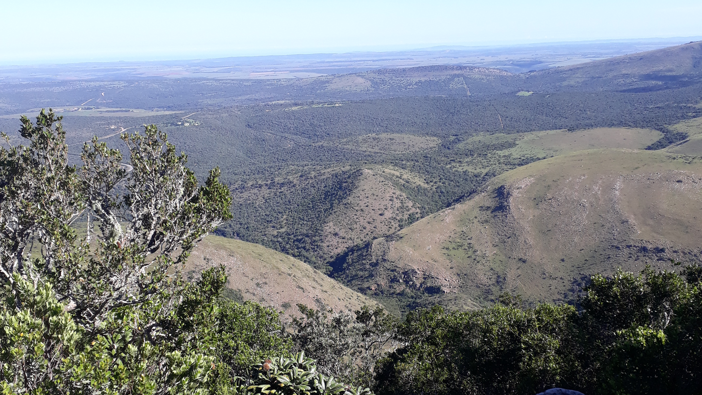 Toposcope view