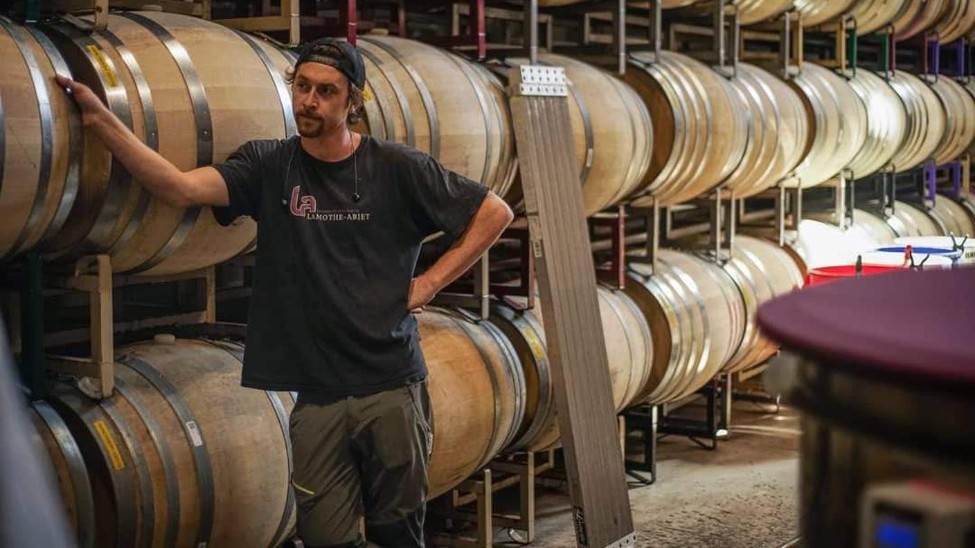 Michele nella cantina Anaba Wines a Sonoma in California