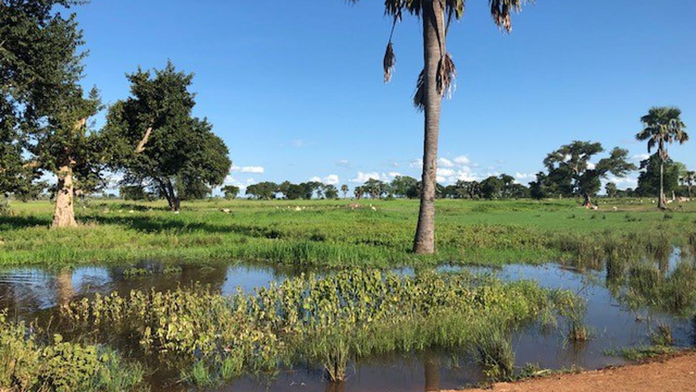 Paesaggi africani