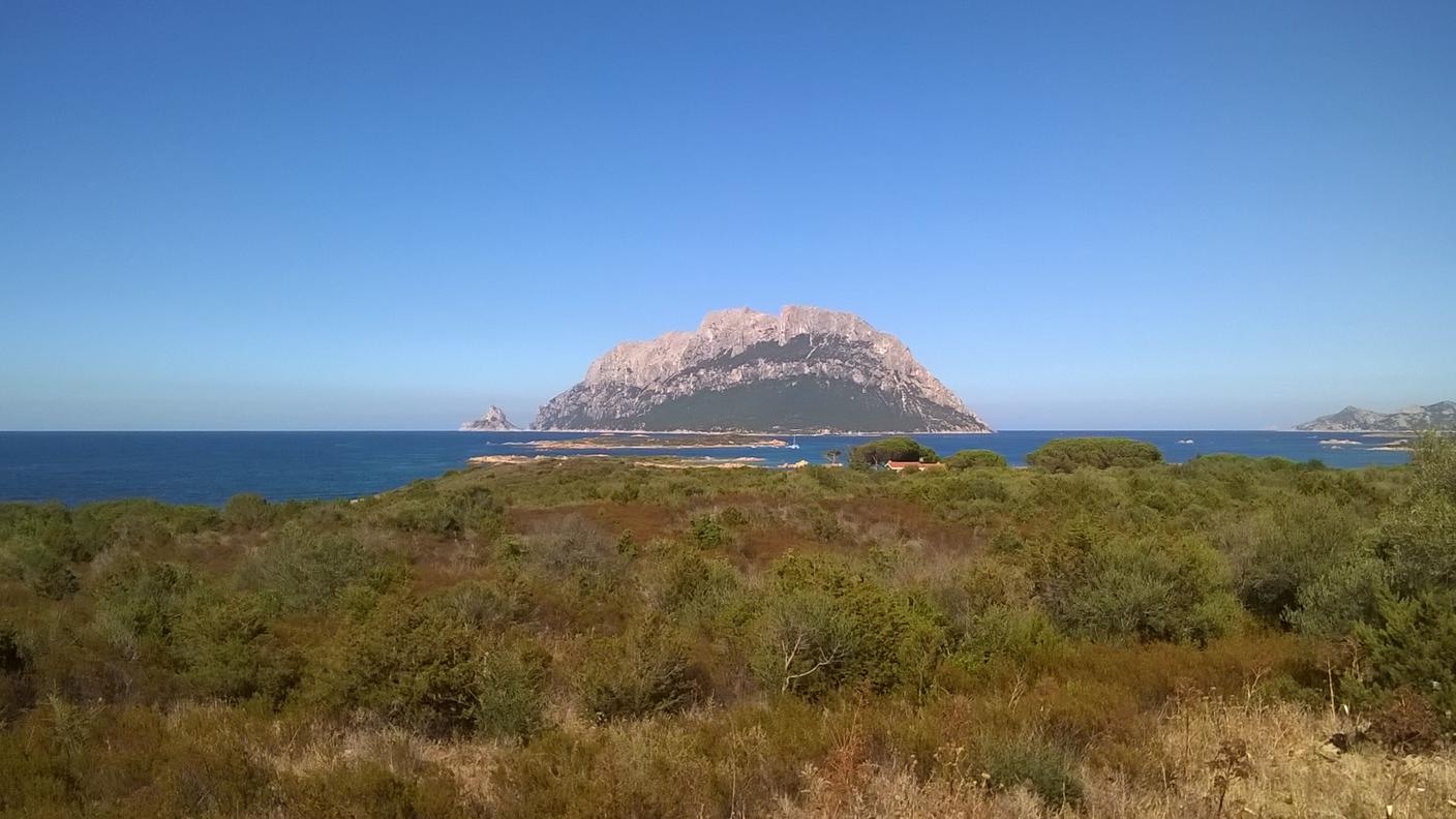 Isola Di Tavolara
