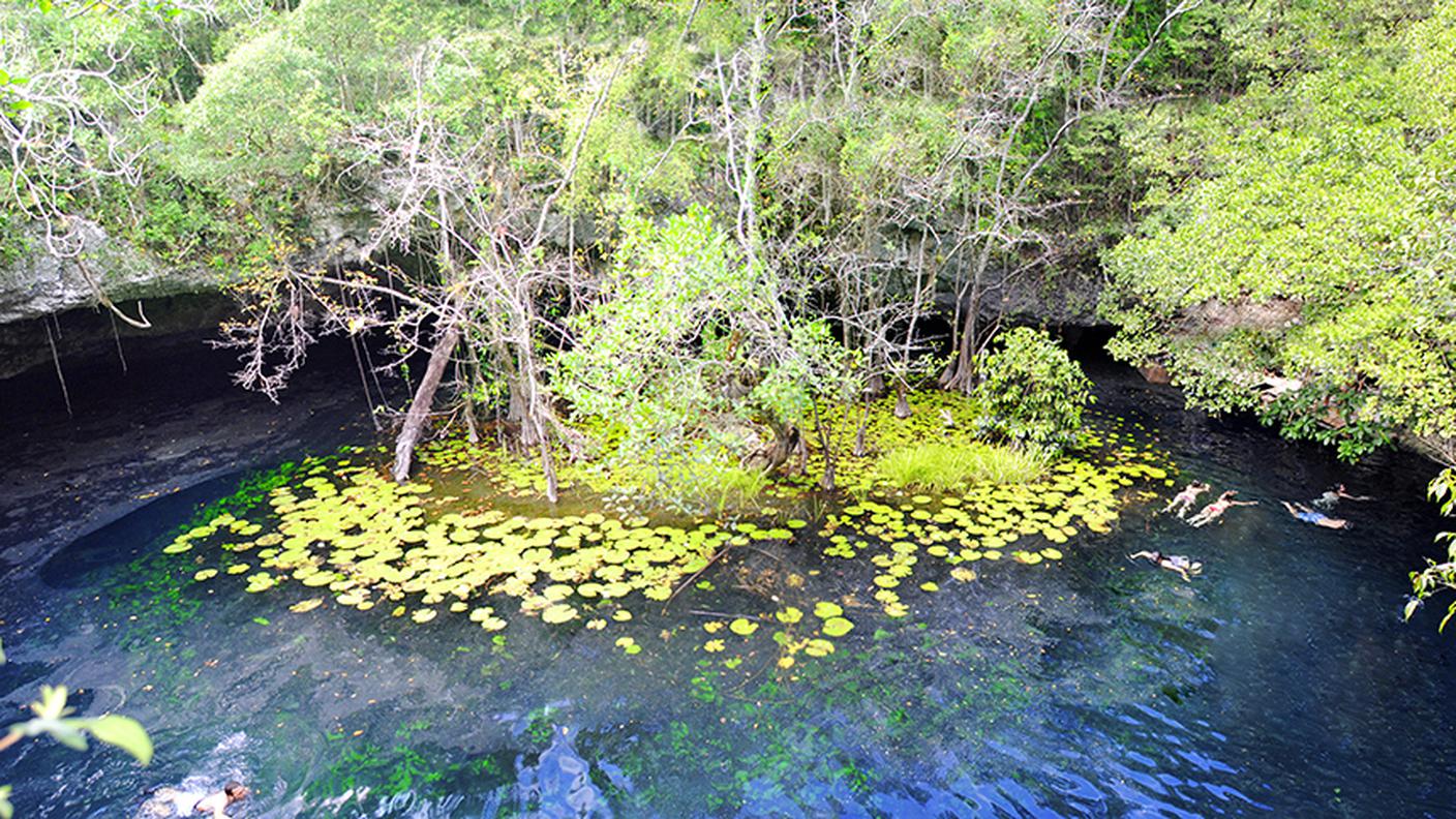 Cenote nella giungla