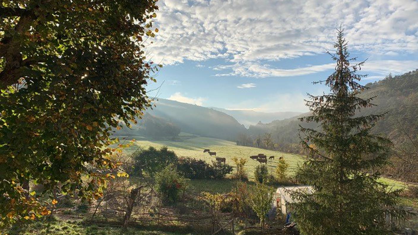 Vista su orto e campi