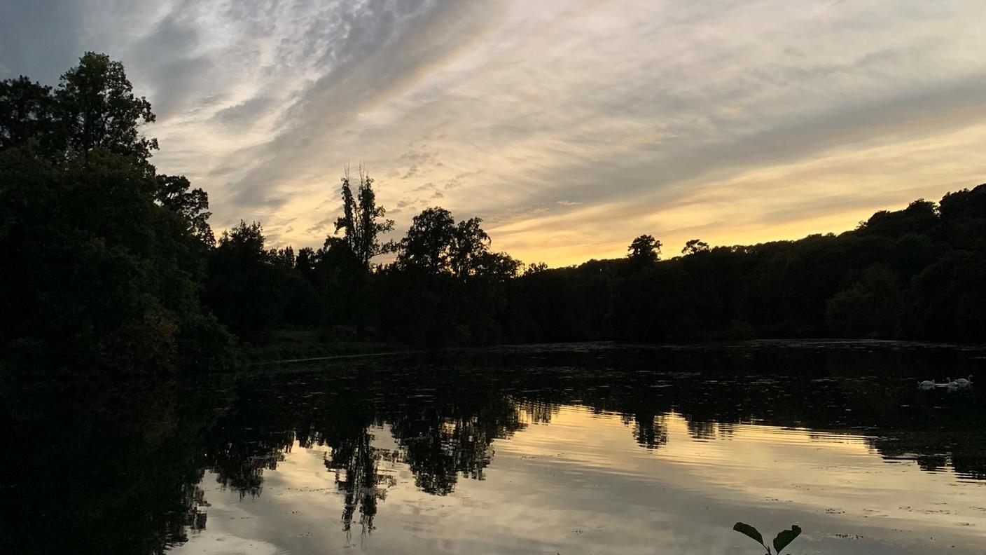 Lago al campus dell'HEC Paris