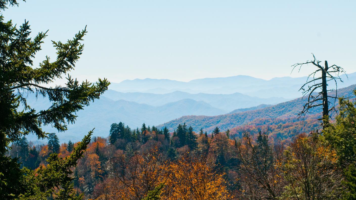 Parco delle Smoky Mountain a un paio d'ore da Mooresville