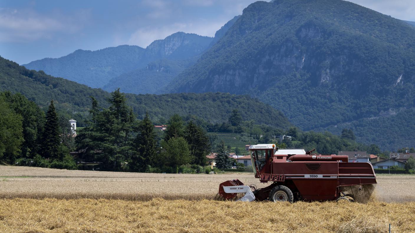 Tra il 2021 e il 2022, il reddito medio annuo degli agricoltori è sceso del 6,3%
