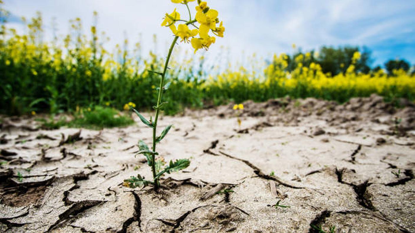 Clima che cambia
