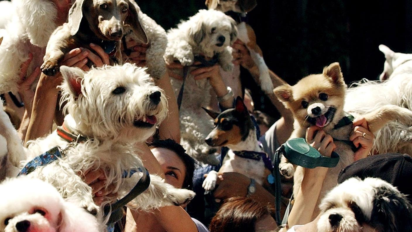 Foto di Elliott Erwitt