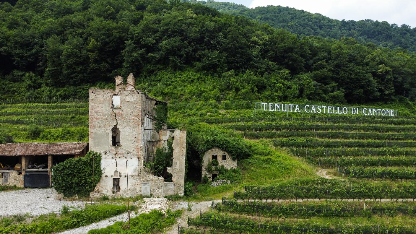 Tenuta Castello di Cantone