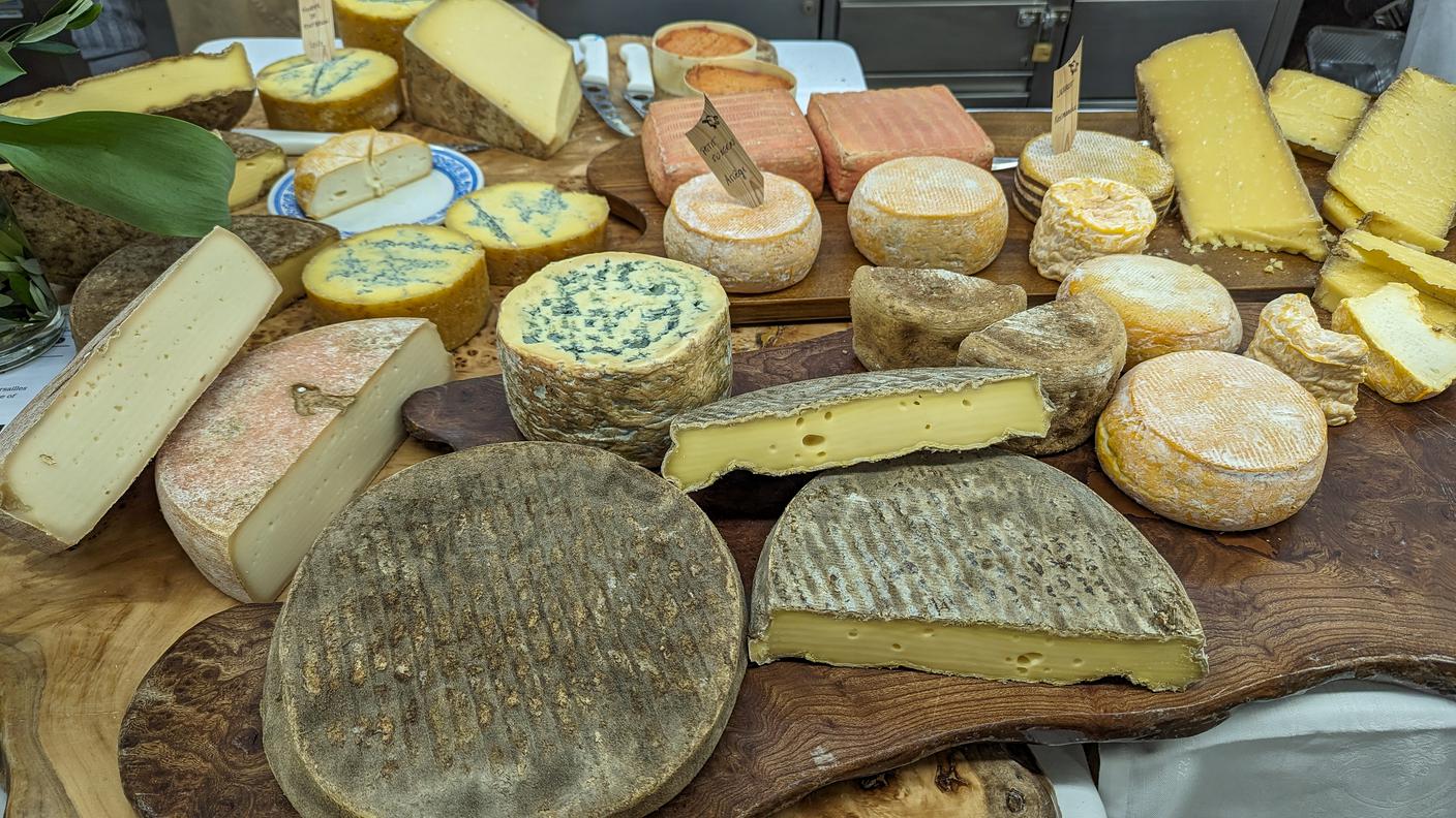 formaggi, selezione, degustazione