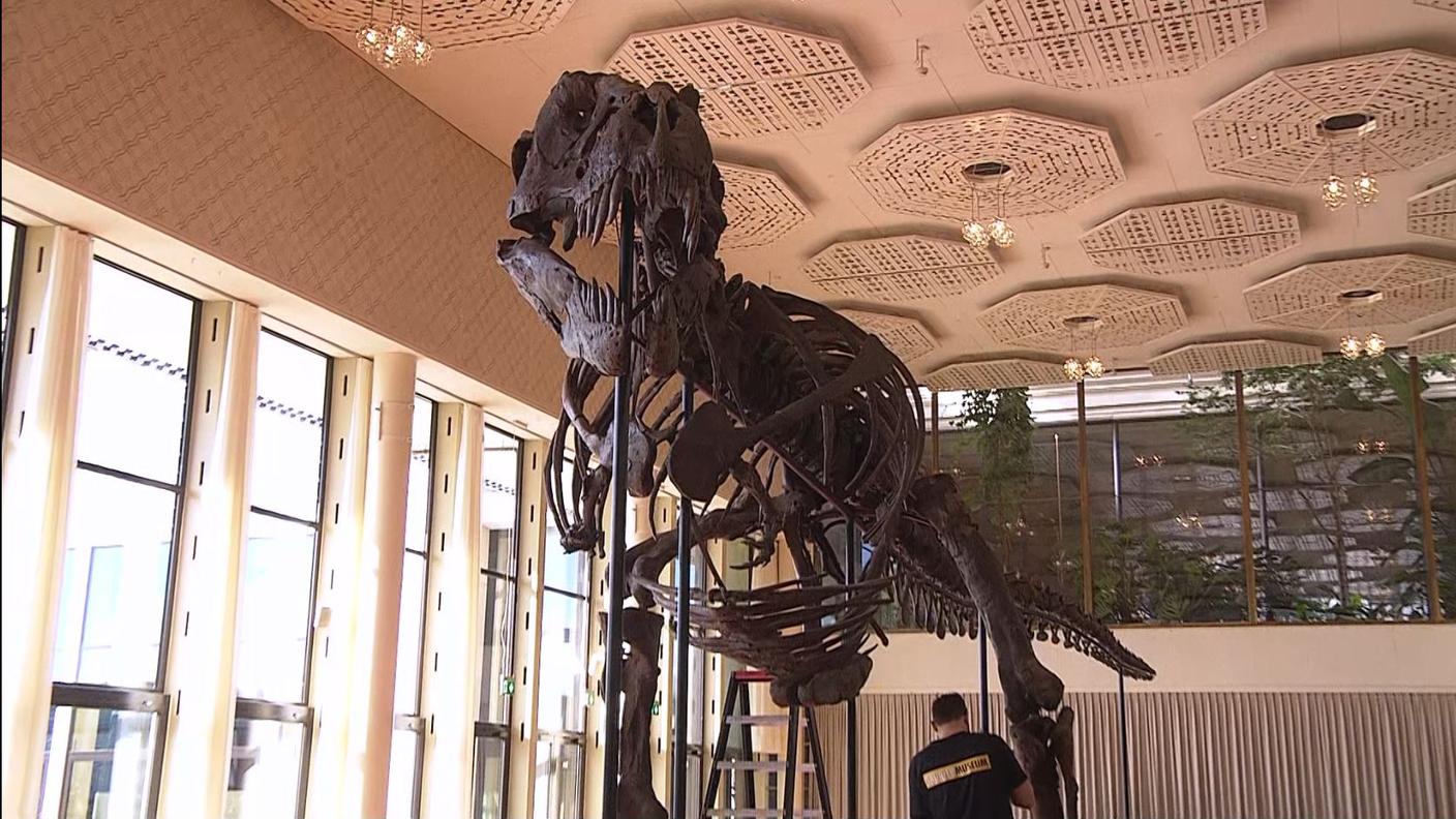 Tra tante meraviglie anche un T-REX