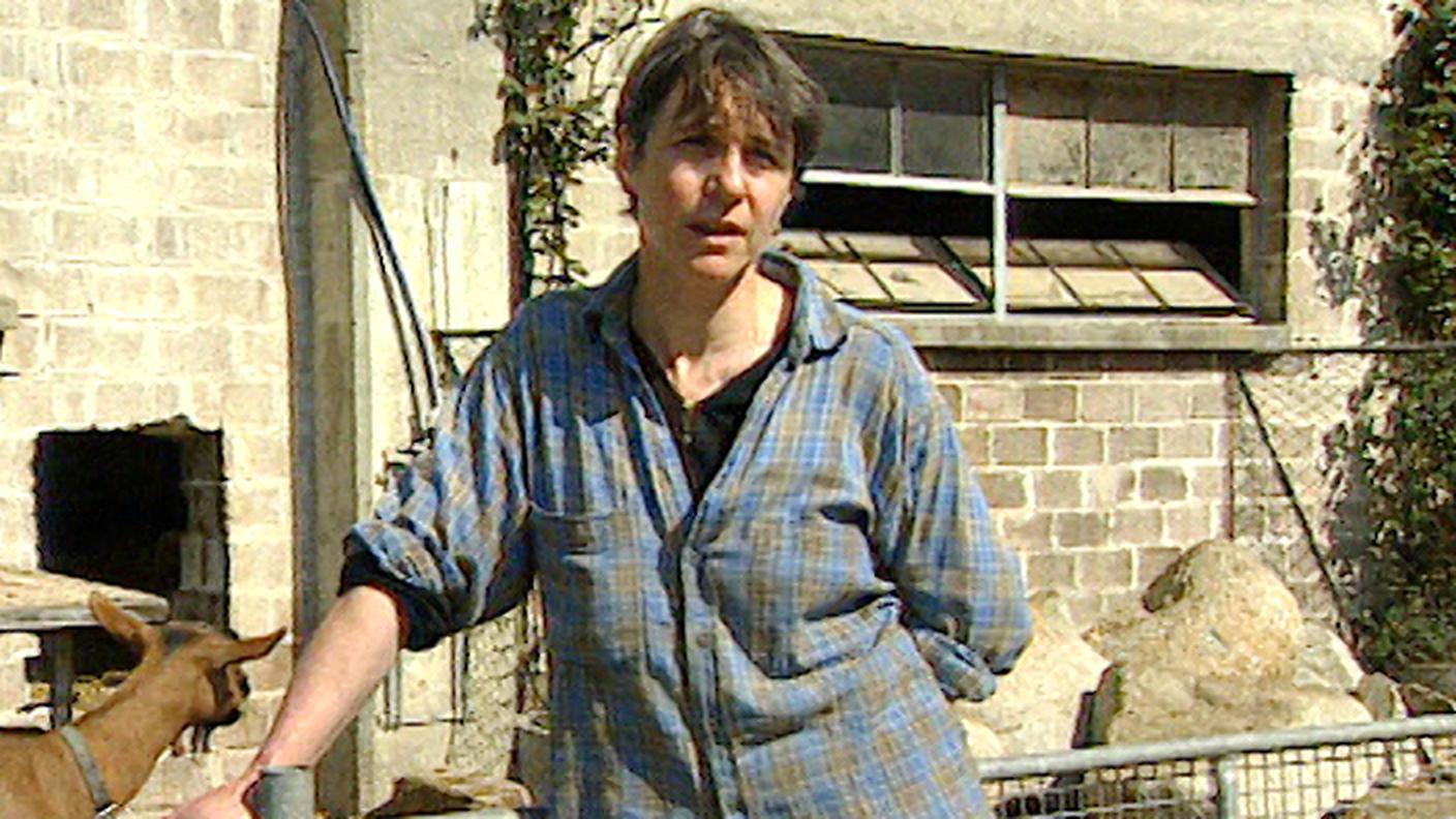 2309733_Il_Quotidiano_La_Colombera.jpg