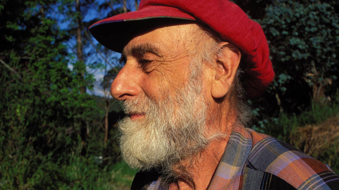 Hundertwasser_nz_1998_hg.jpg