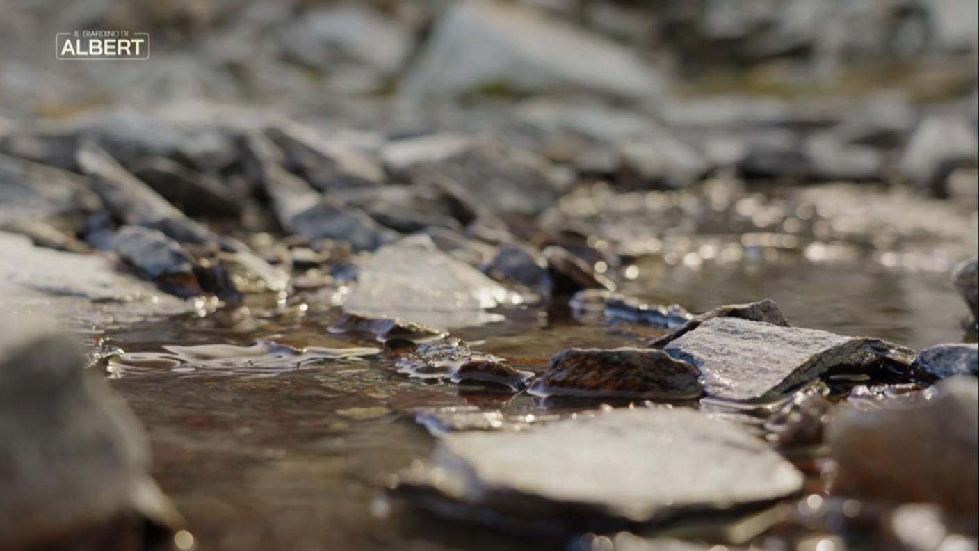 Le forme dell'acqua