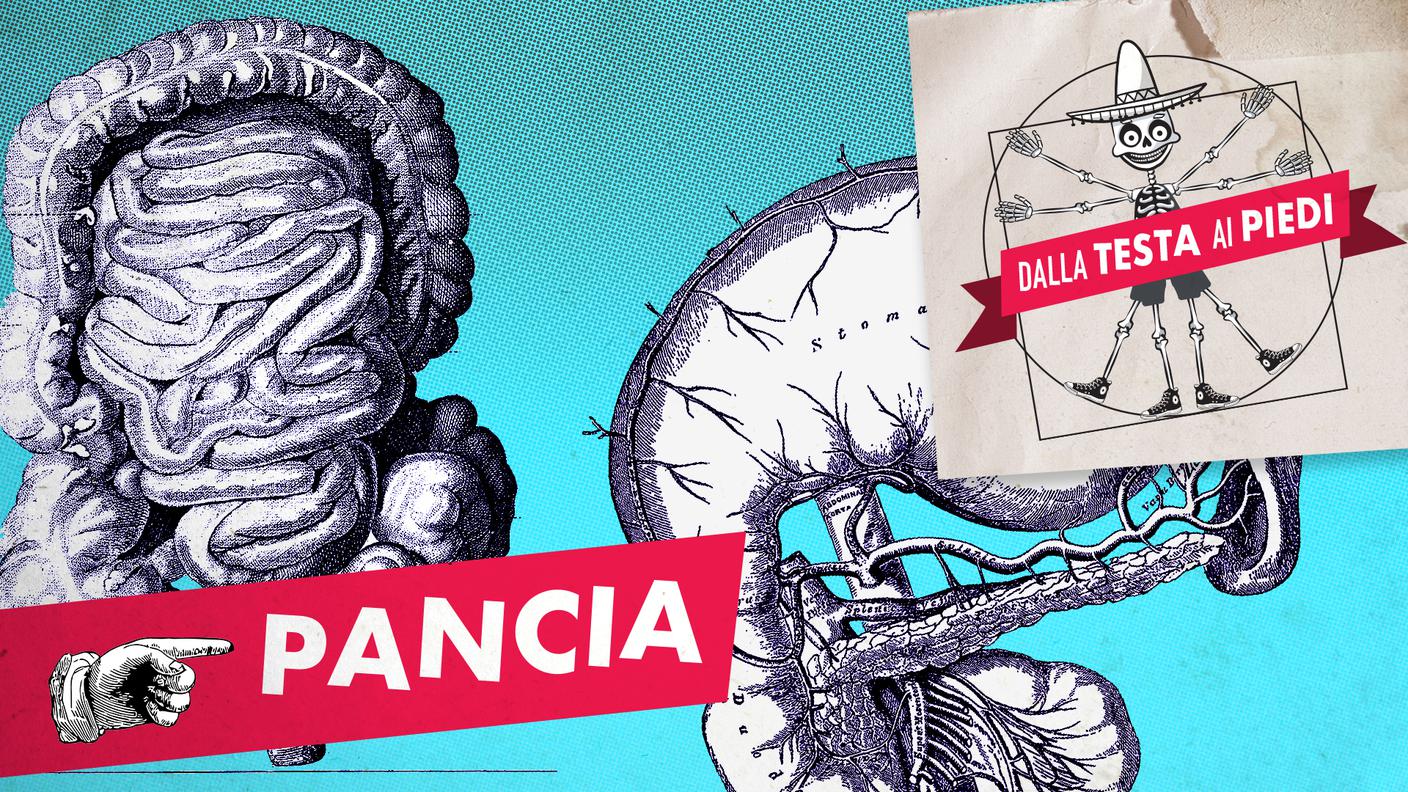 4.PANCIA.jpg