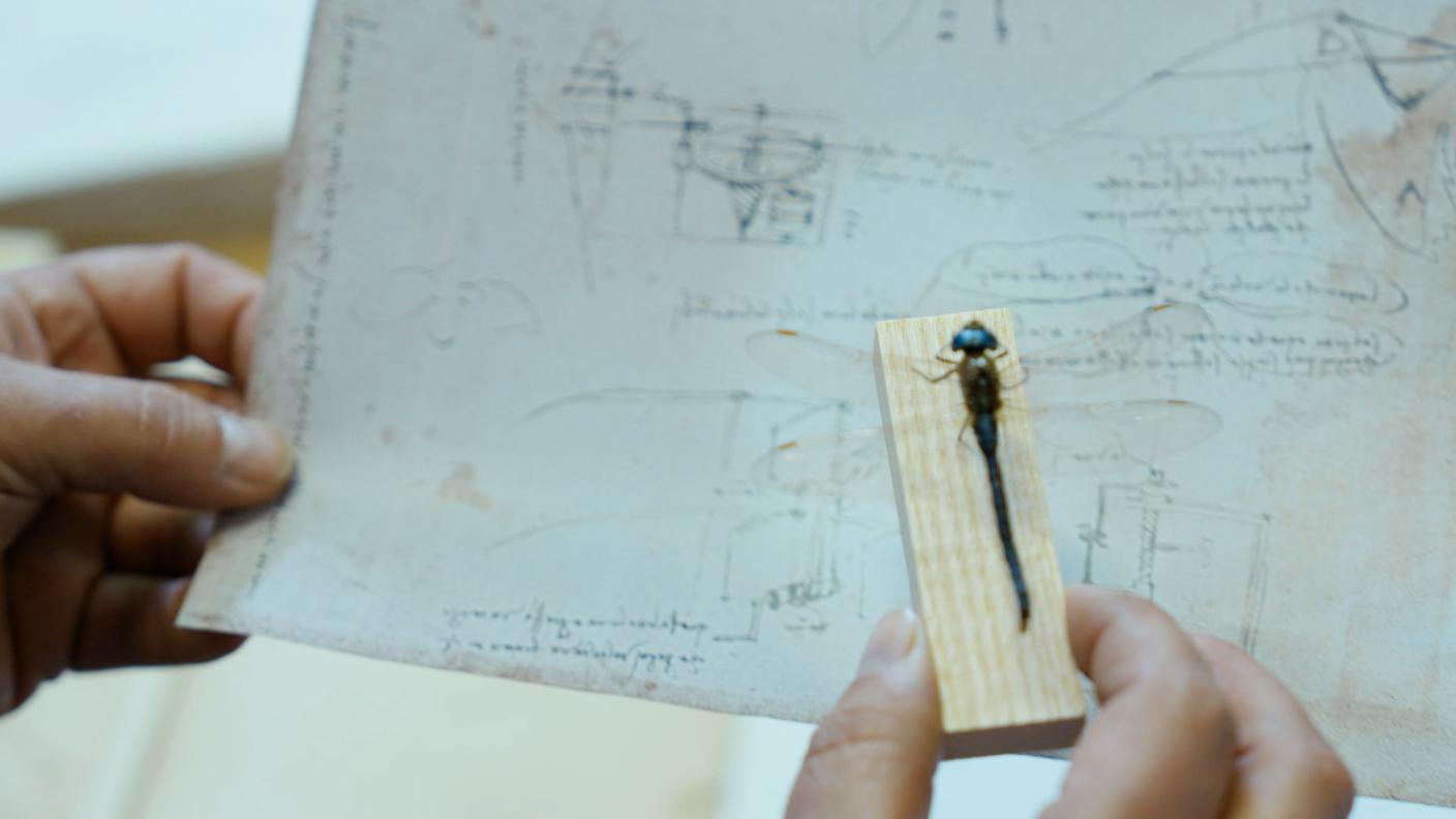 Il sogno di Leonardo