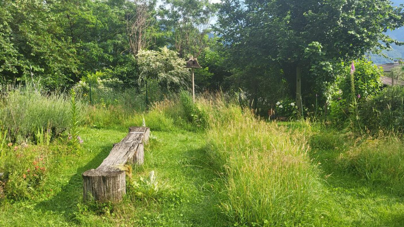 Giardino selvaggio 