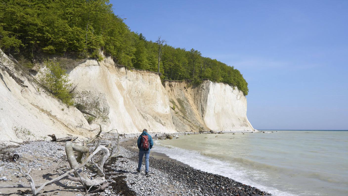 Faggeta di Jasmund