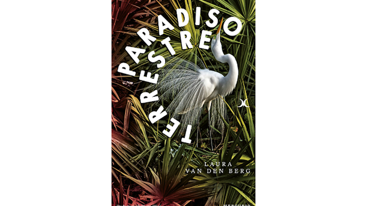 "Paradiso terrestre", di Laura Van Den Berg, Mercurio (dettaglio di copertina)