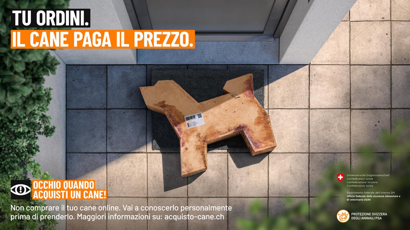 Vendita cani online USAV PSA.jpg
