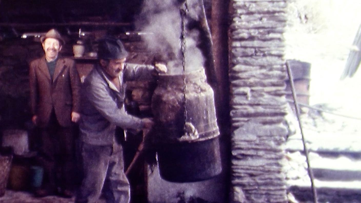 2198942_Il Regionale_Grappa nostrana_alambicco.jpg