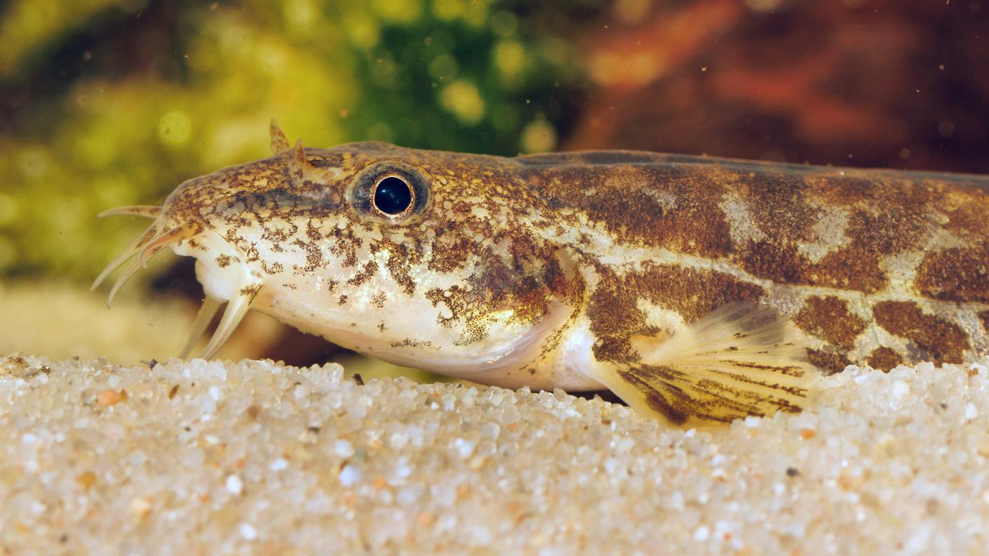 imago803062348.jpg