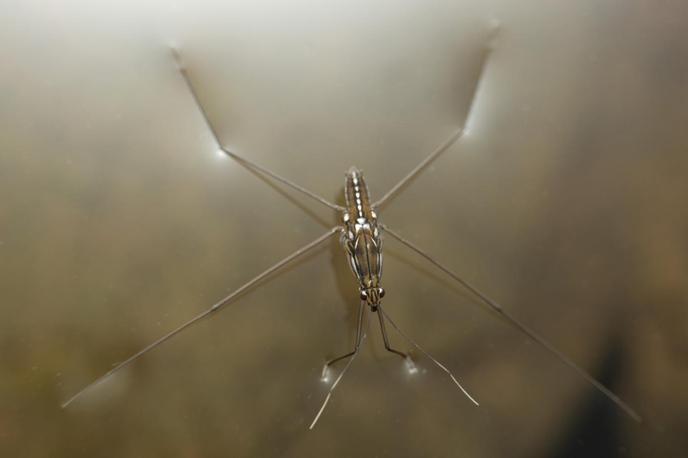 imago382013078_Pond5_Images.jpg
