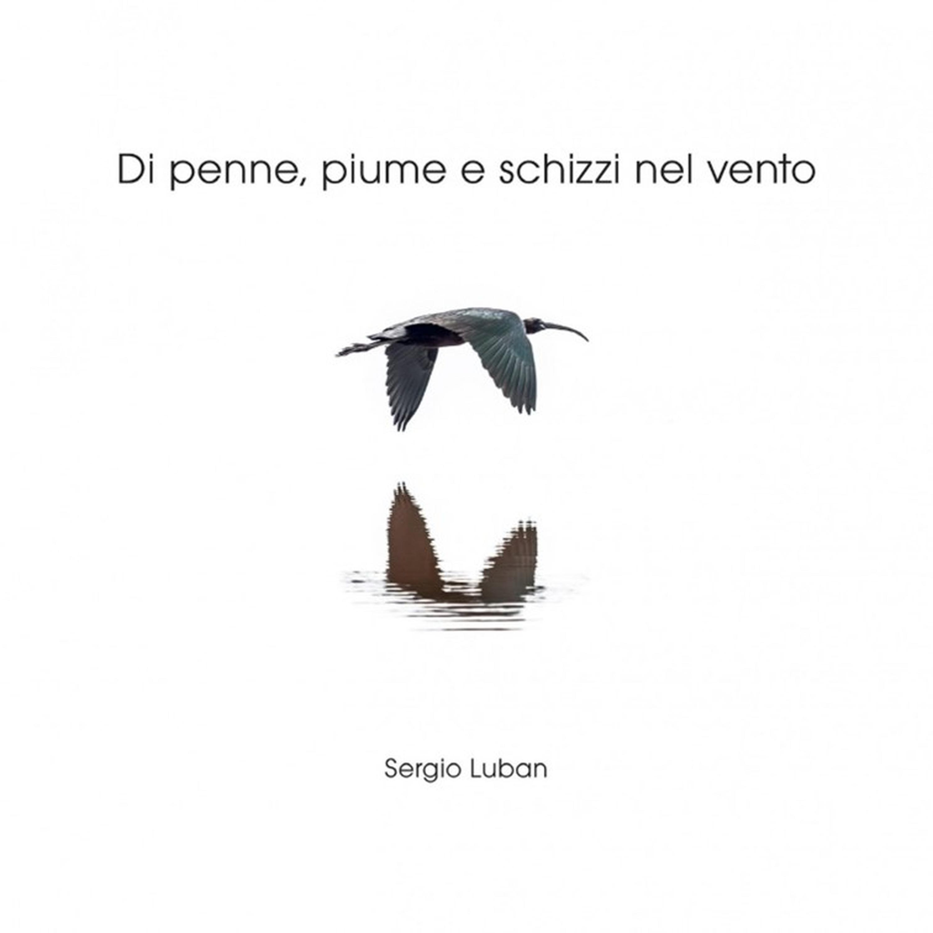 La leggerezza del volo