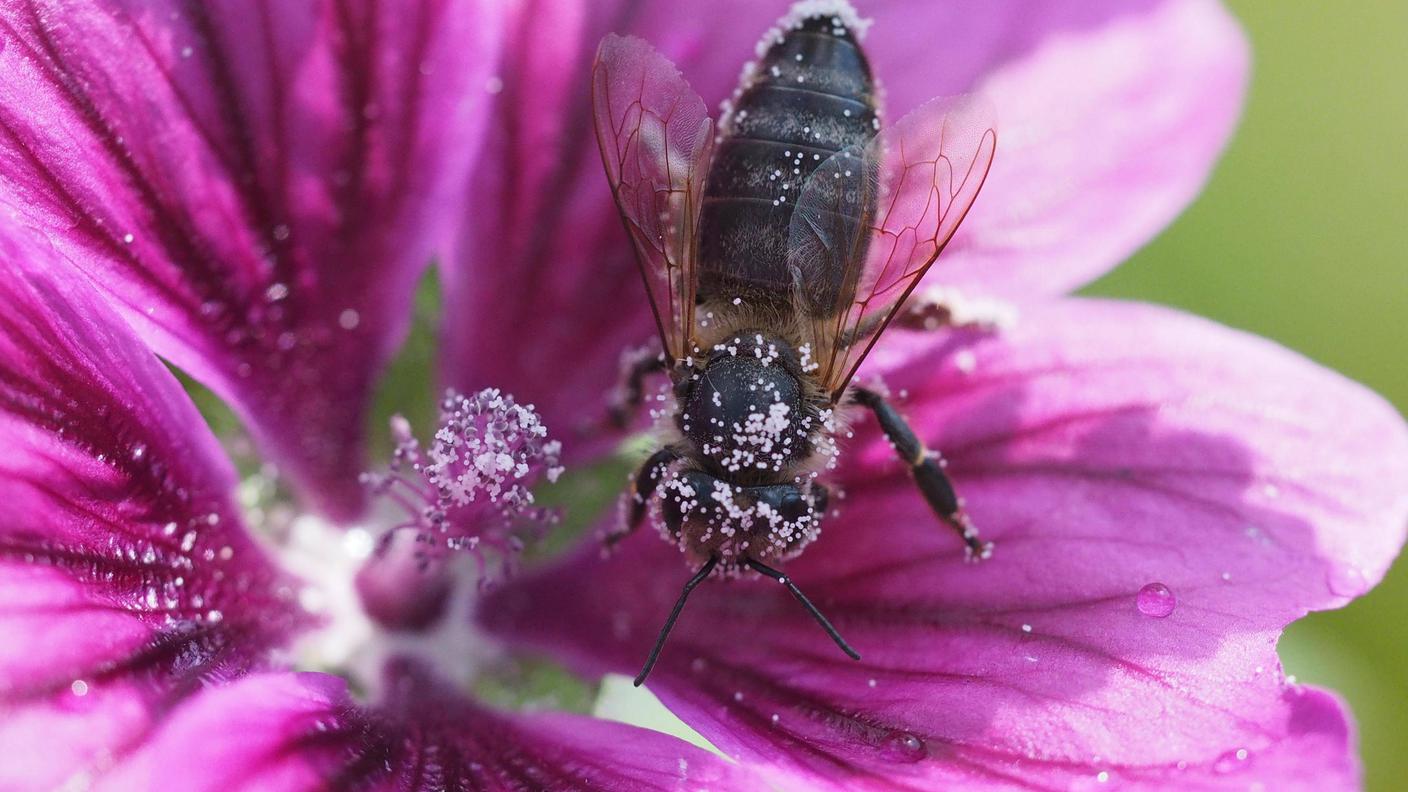 imago85064016.jpg