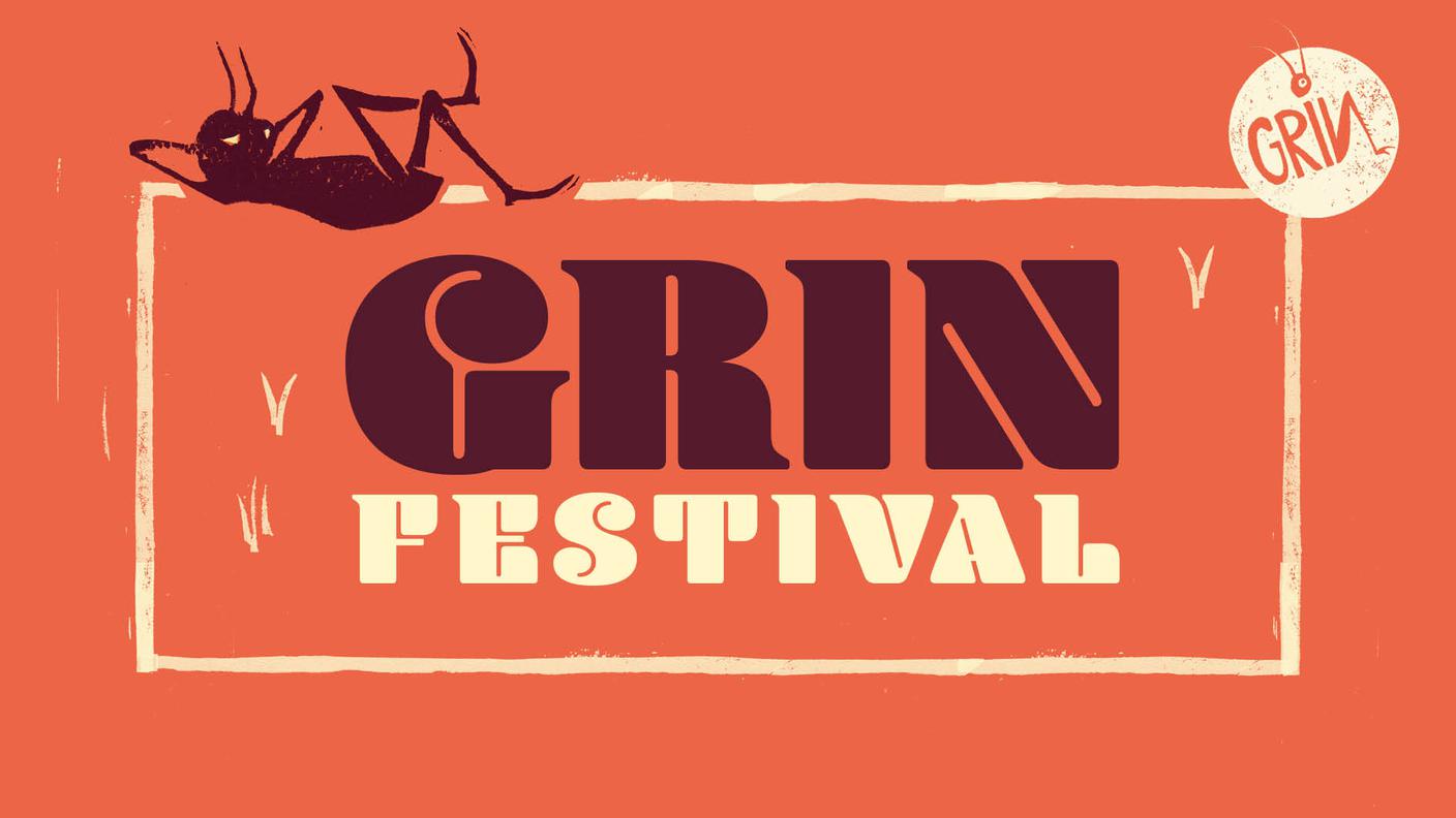 grin festival 2025.jpg