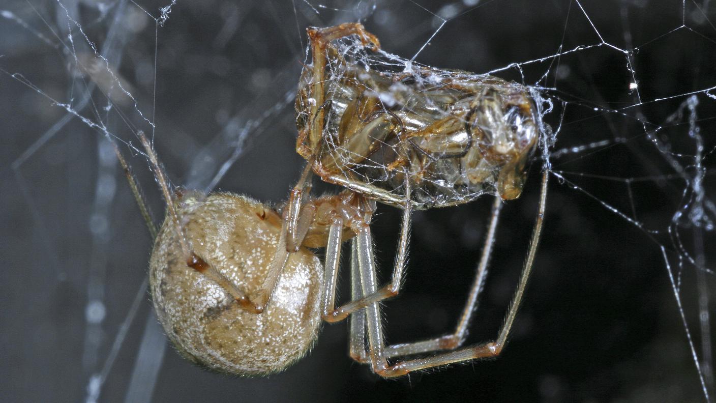 imago238224301_blickwinkel.jpg