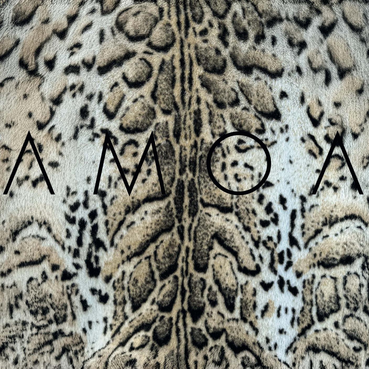 Amoa_I'll be kind_Album Cover Digi.jpg