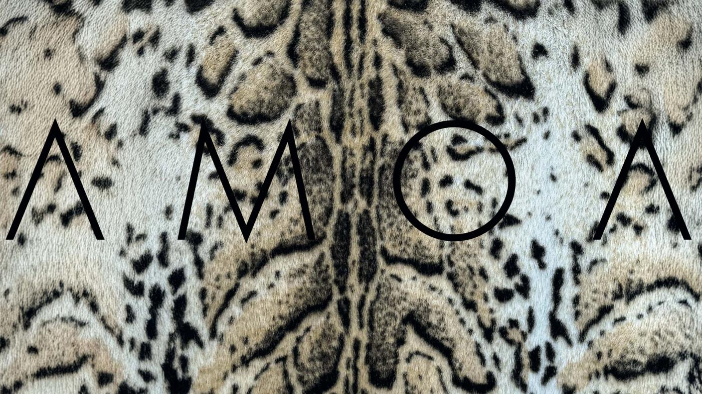 Amoa_I'll be kind_Album Cover Digi.jpg