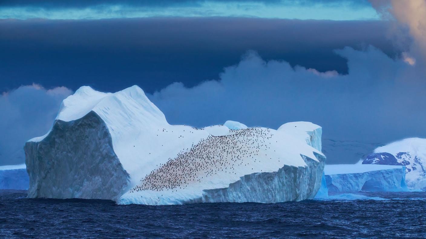 Iceberg.jpg