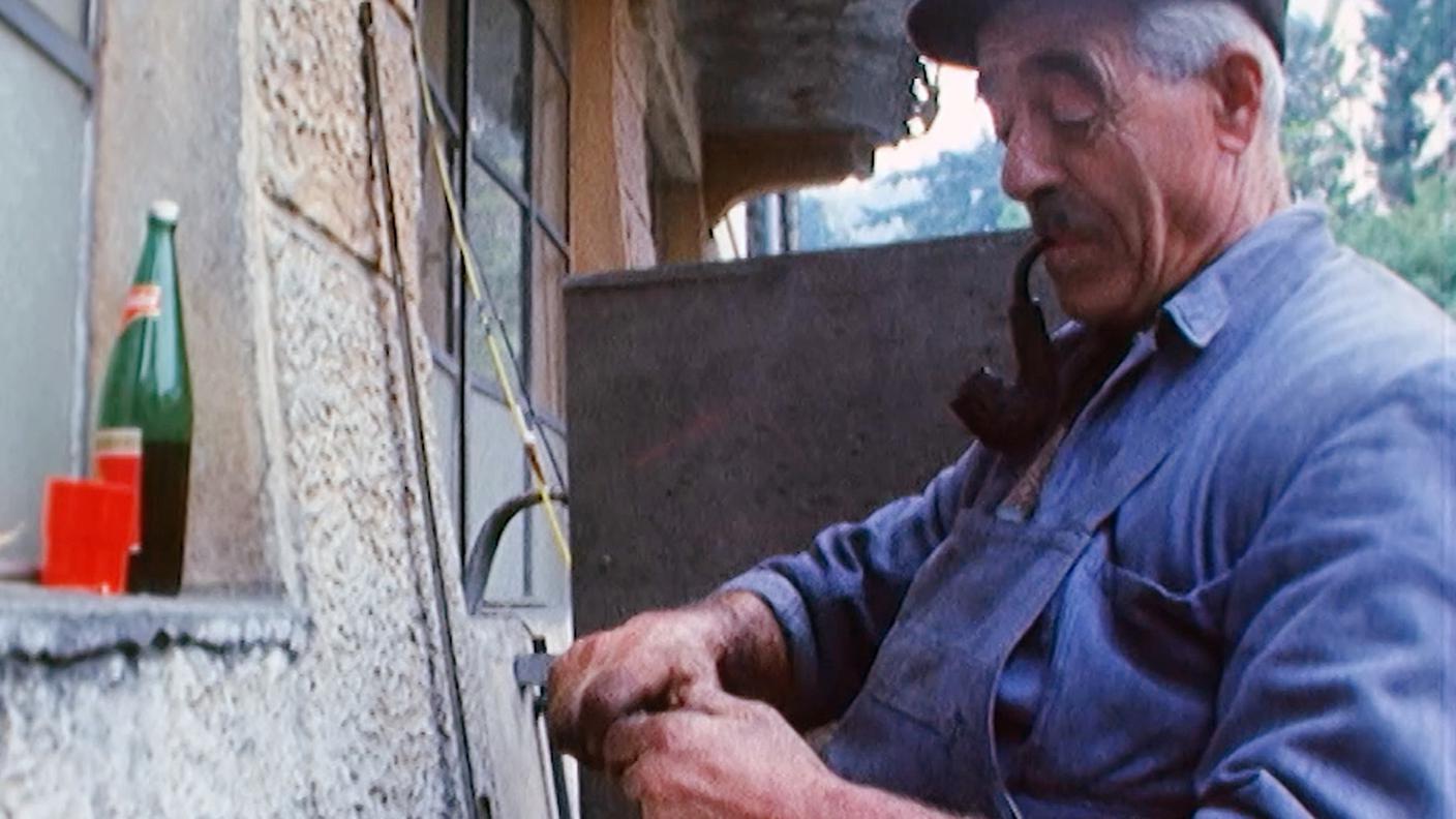 2046876_Il Regionale_Caldarroste_Castagne maronatt.jpg