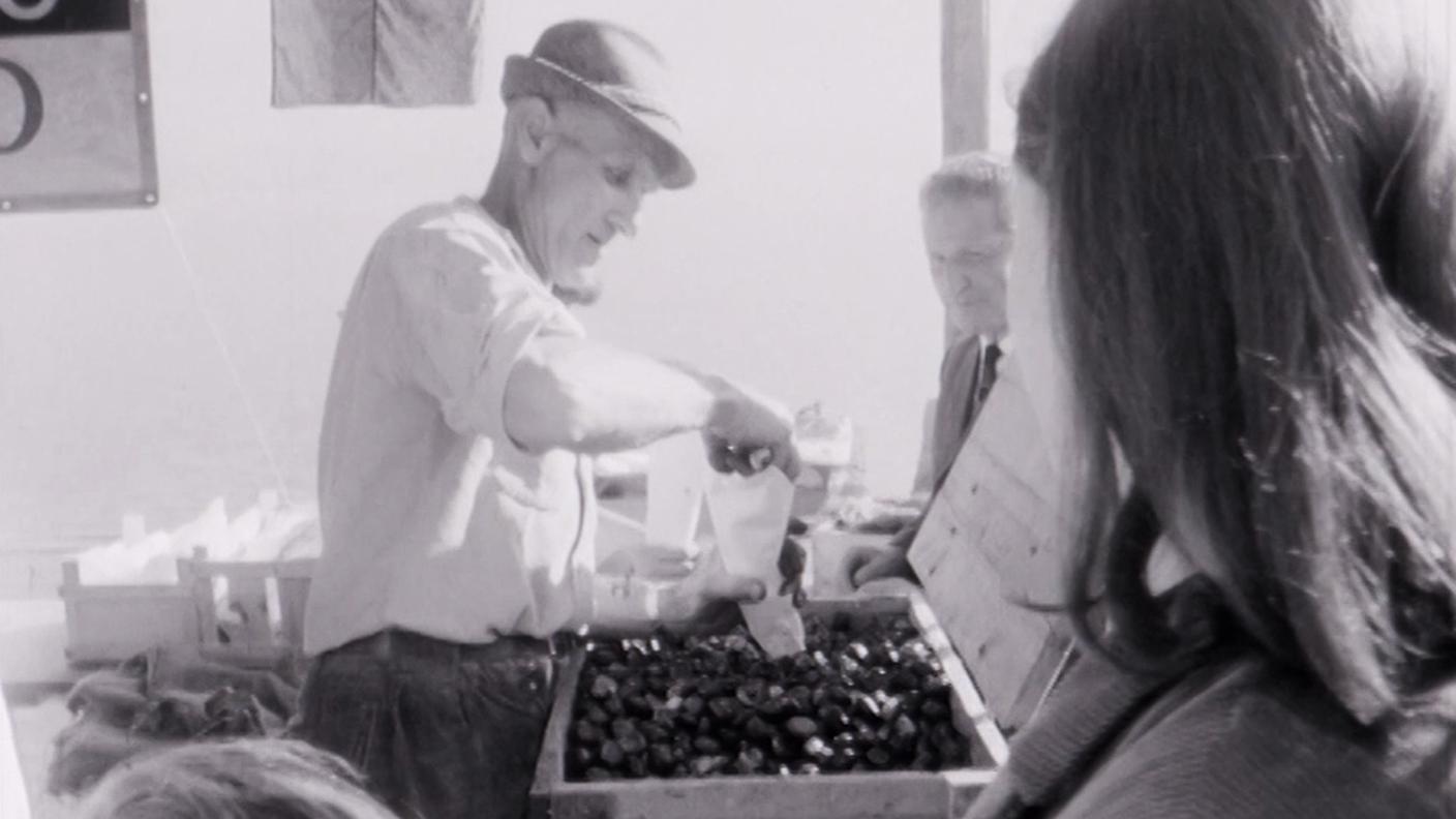 2220673_2115285_Il Regionale_La storia del Regionale_Sagra delle castagne di Burbaglio.jpg