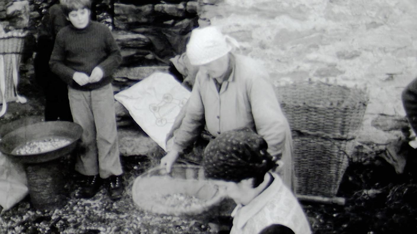 2205939_3192131_Il Regionale_La storia del Regionale_Castagne per l'inverno_Essicatura.jpg