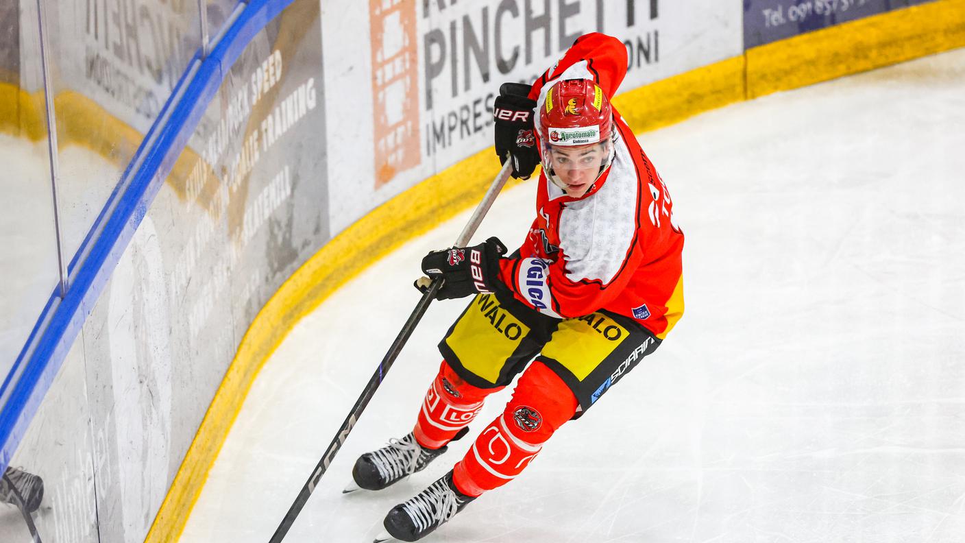 Bellinzona Snakes