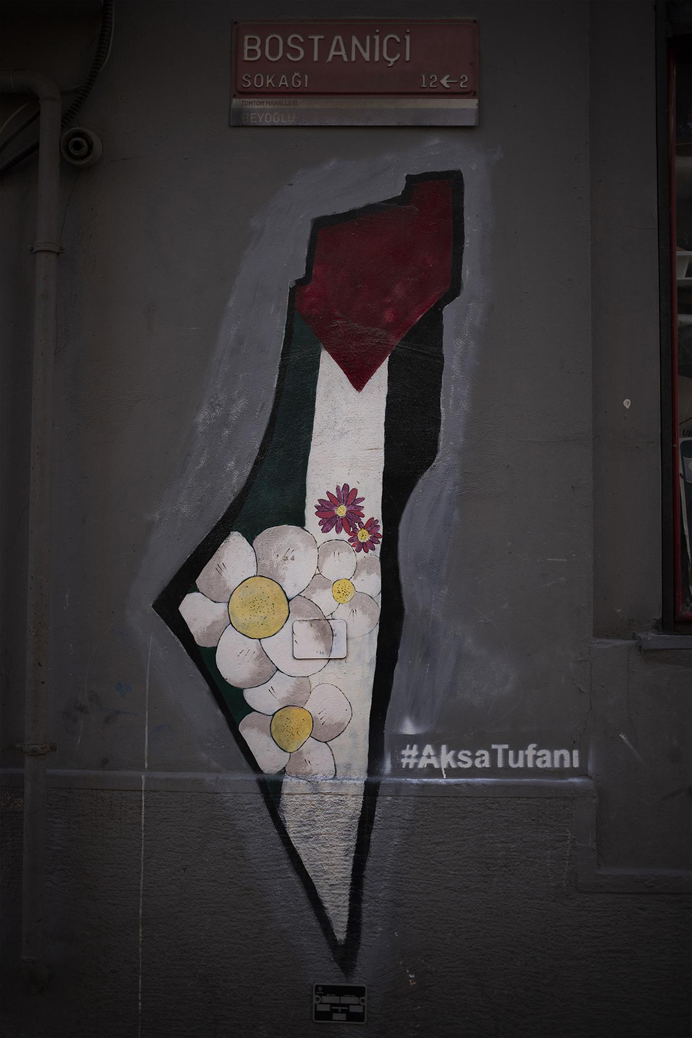 Sotto l'insegna della via Bostaniçi a Beyoğlu, uno street artist ha dipinto la striscia di Gaza.