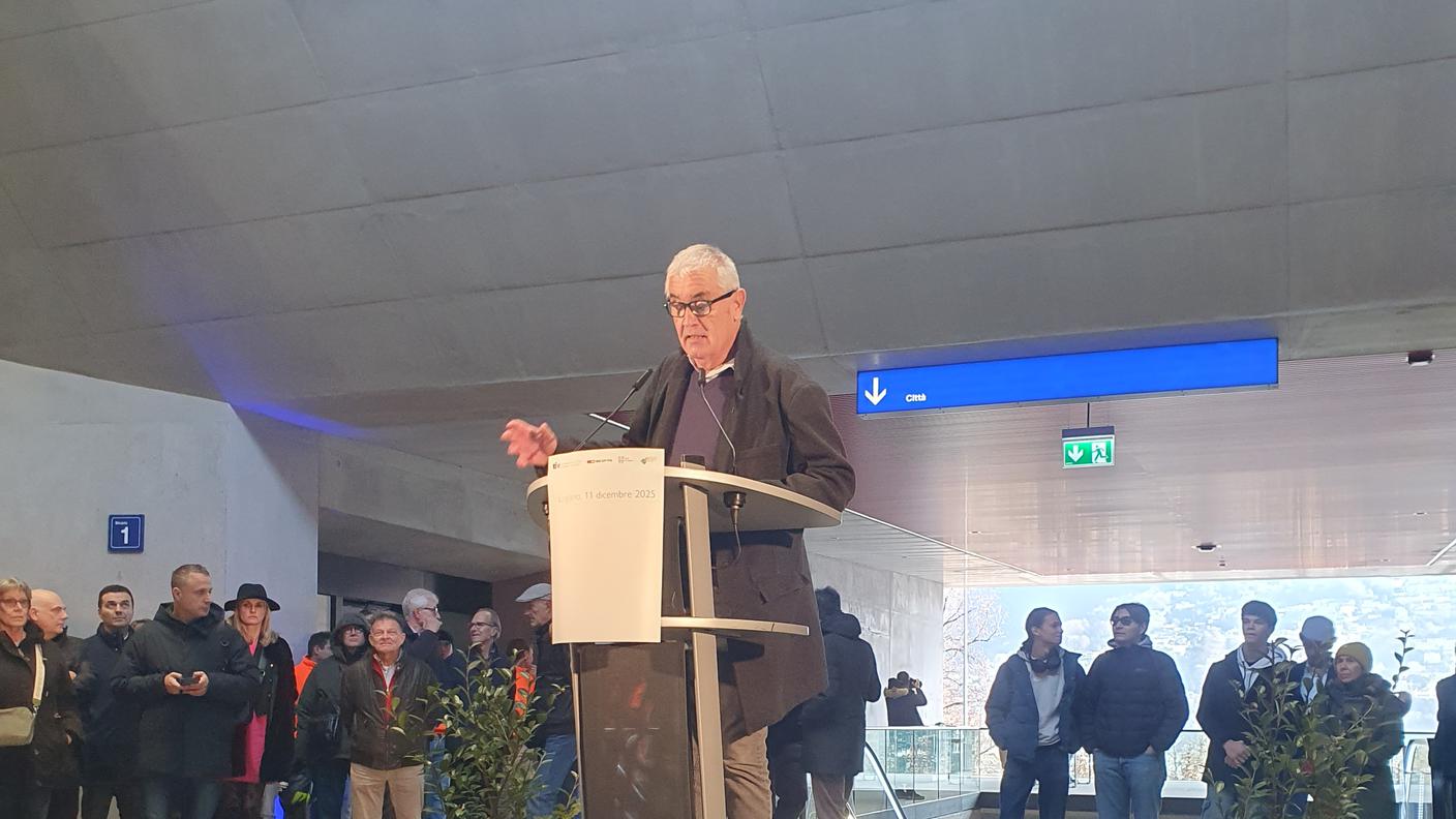 Presidente del Gran Consiglio, Fabio Schnellmann