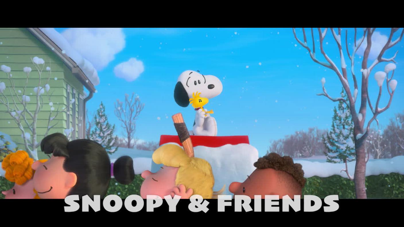 5000_33dc647f4f811990b34588c427d4f8af