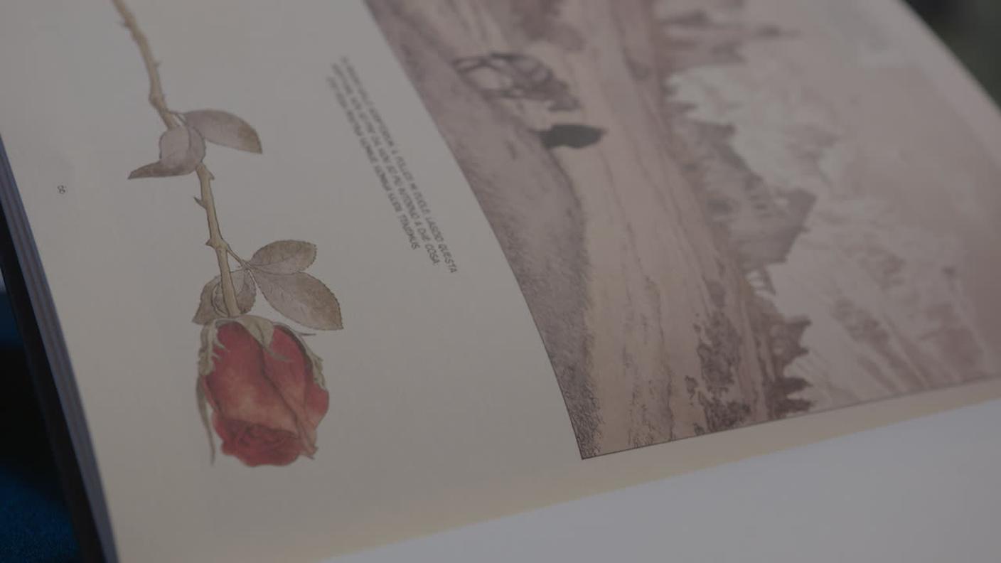 5000_d2cc13e1943f1923a5ea2591a25176b0