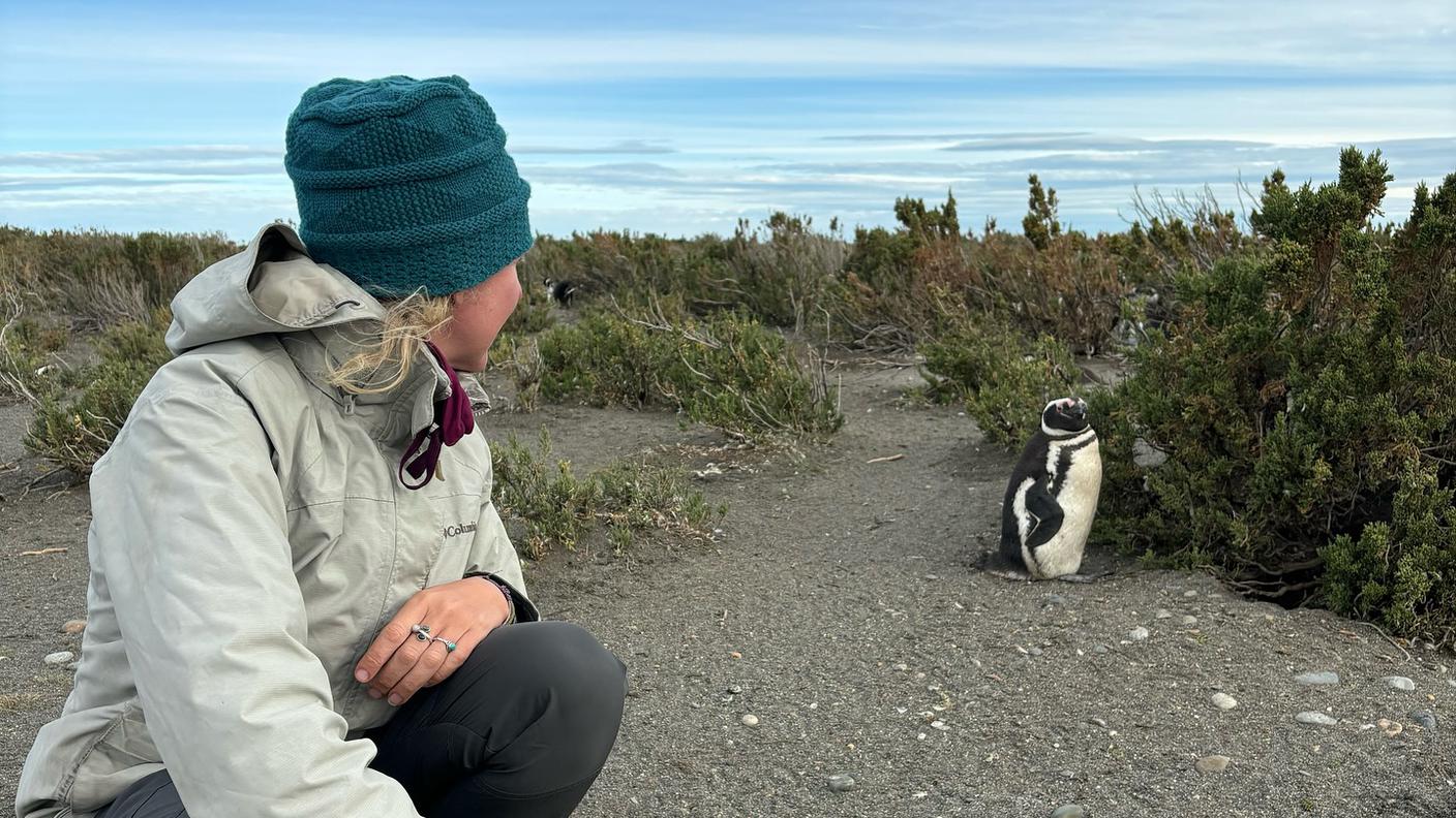 Dalla pagina facebook WANE