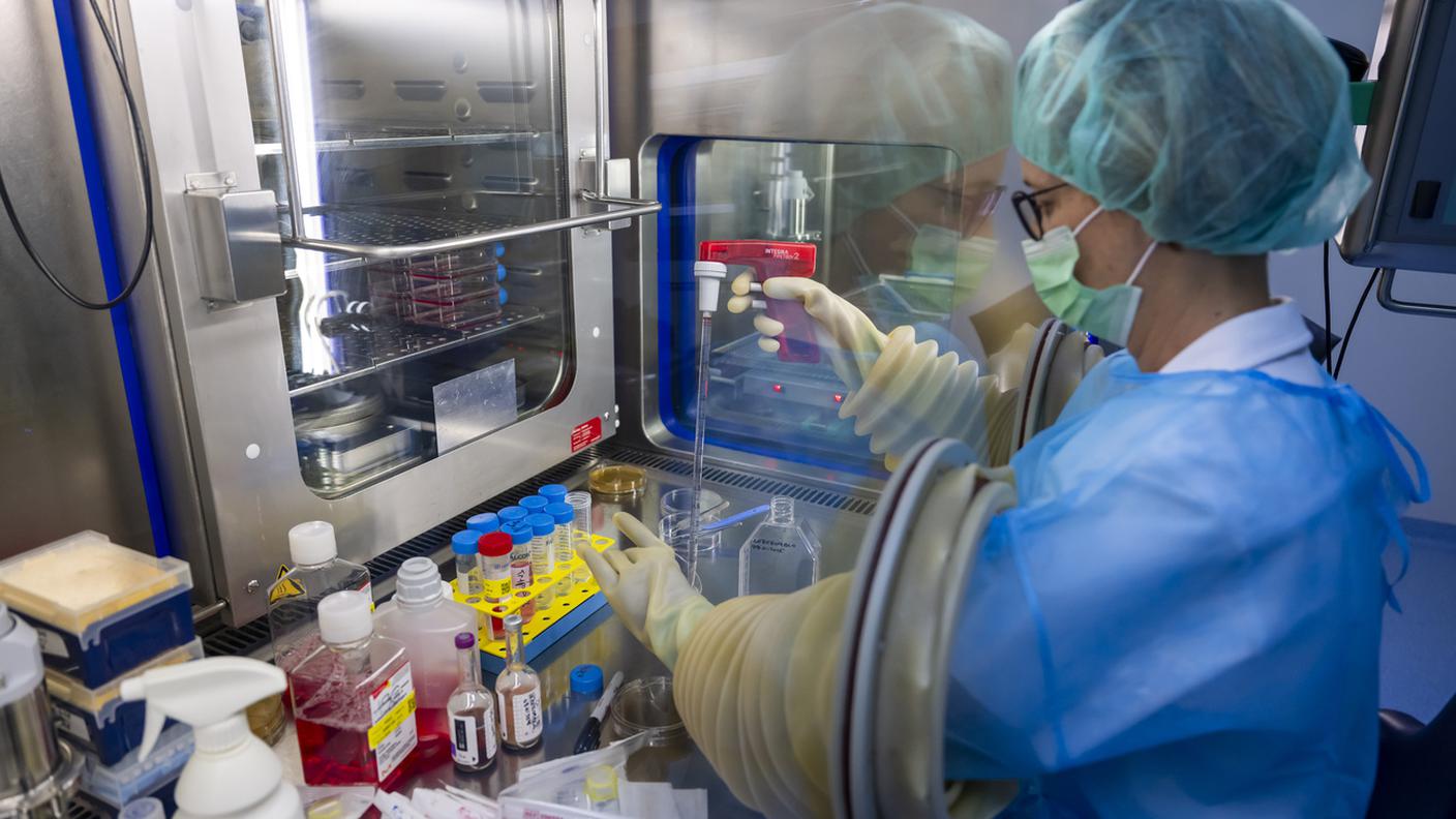 Uno dei laboratori per la produzione di tessuti